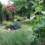 Koenigskirsche Eckernförde