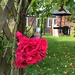 Koenigskirsche * Eckernförde