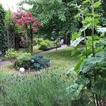 Koenigskirsche Eckernförde