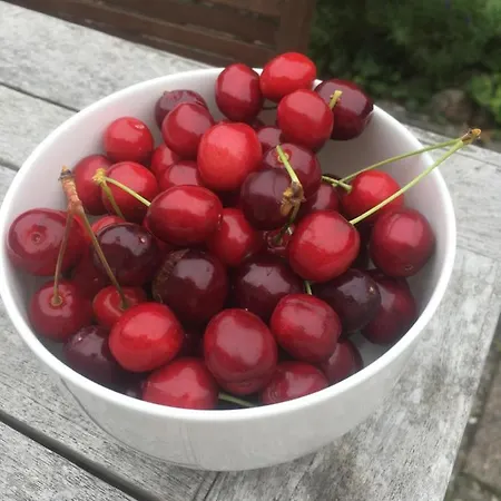 Koenigskirsche Apartamento Eckernförde
