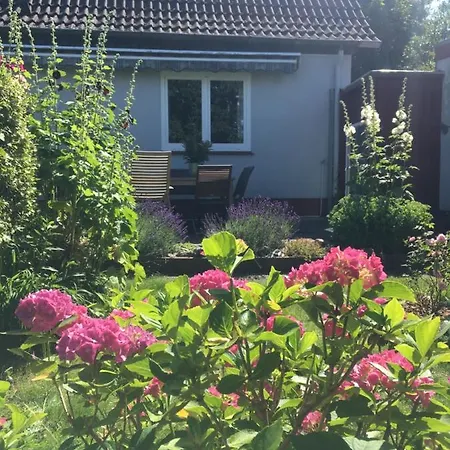 Koenigskirsche