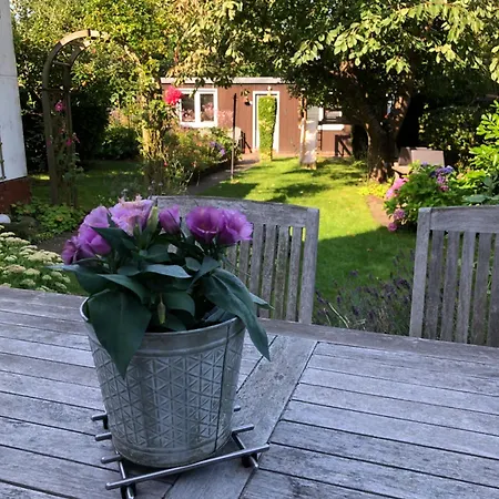 Appartement Koenigskirsche *