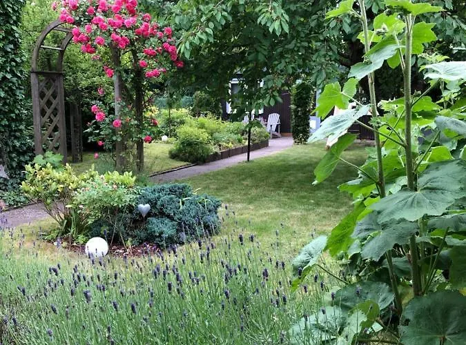 Koenigskirsche Eckernförde