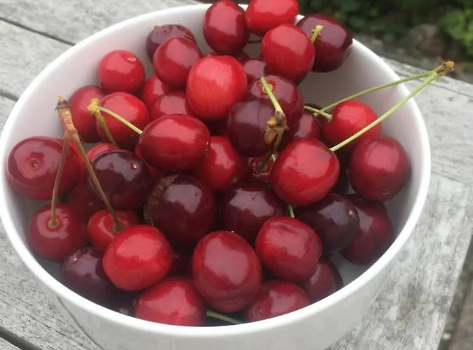 Koenigskirsche Appartement Eckernförde